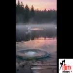 flirtystickers_comoutput_30fps (777)_sticker_3